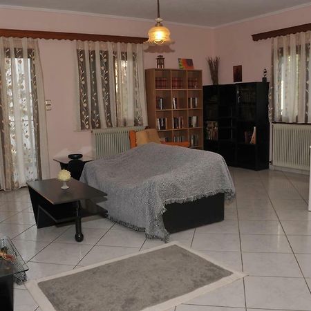 Eagle'S Family Apartment Kalampaka المظهر الخارجي الصورة