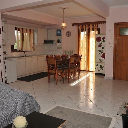 Eagle'S Family Apartment Kalampaka المظهر الخارجي الصورة
