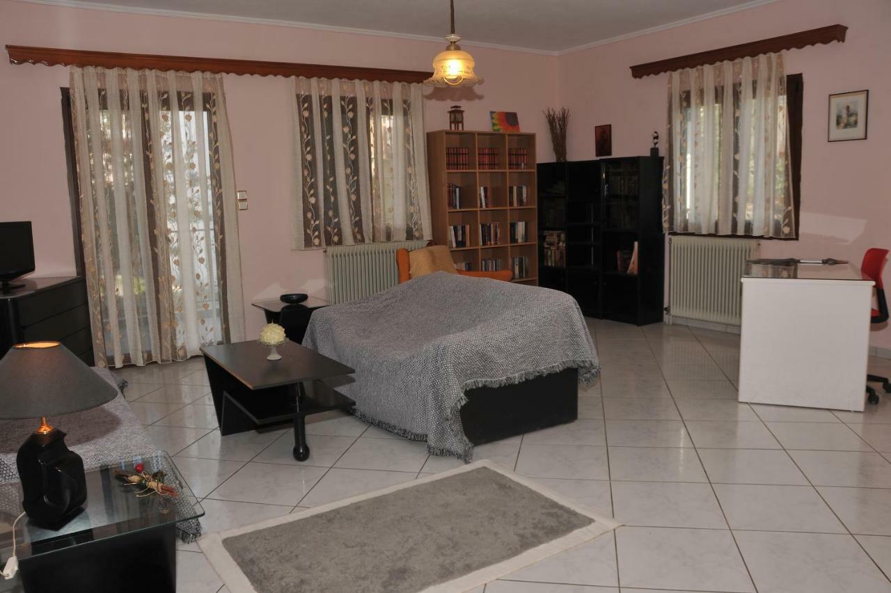 Eagle'S Family Apartment Kalampaka المظهر الخارجي الصورة